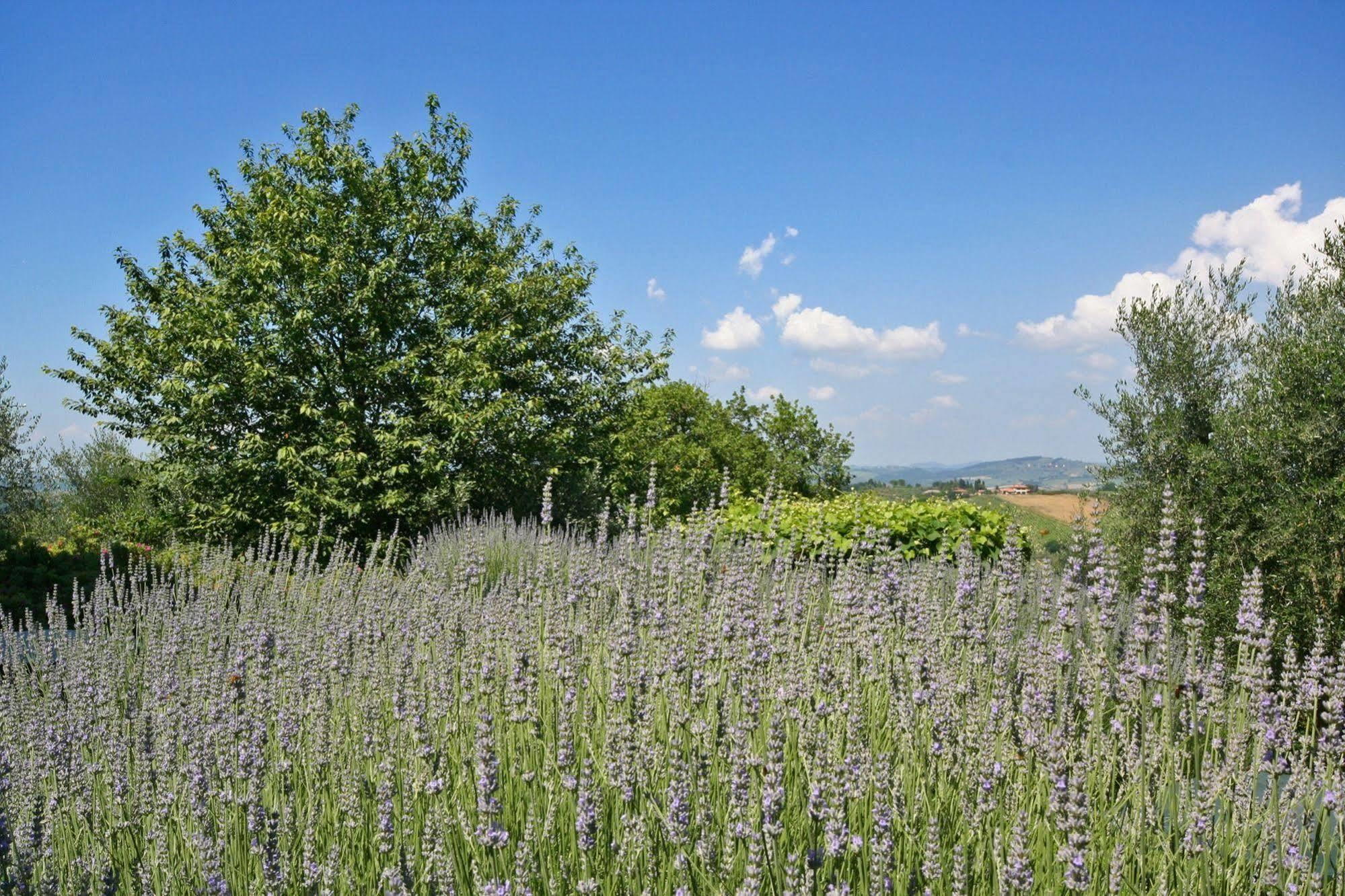 Podere Il Pino Poggibonsi Eksteriør bilde